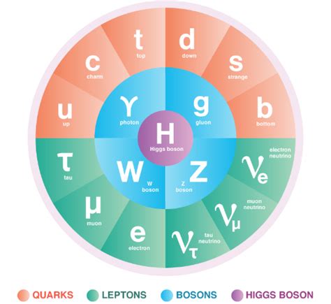 DOE Explains...the Standard Model of Particle Physics - wintechmobiles.com