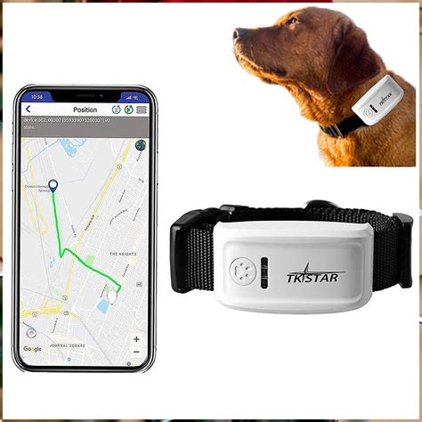 Dog GPS & Activity Collars - Best Dog GPS Trackers (Free Shipping) … - coolestguyplanet.net