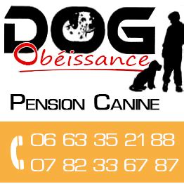 DOG OBEISSANCE Goven - Facebook