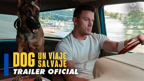 DOG UN VIAJE SALVAJE TRAILER OFICIAL - YouTube