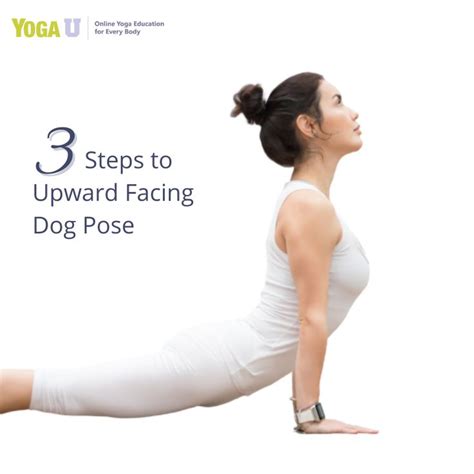 DOG XVIDEO pose terpopuler & cewek terkini referensi xnxx japan tanpa iklan mengganggu lihat highlight pertandingan setiap Sabtu adegan after credit image 1