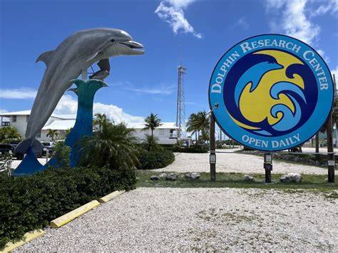Dolphin Research Center - raincitystudios.com