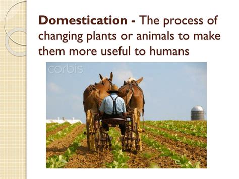 Domestication of Plants, Animals, and Humans - Springer - wintechmobiles.com