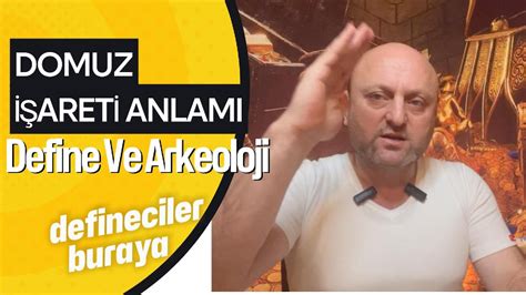 DOMUZ Define Anlamı. 