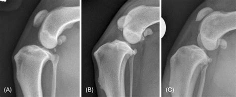 Don't let the combination of wood and stone stifle the wonders of ... - wintechmobiles.com