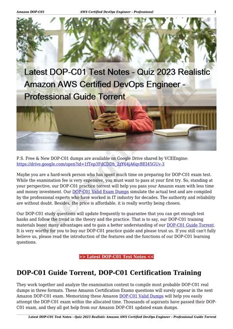 DOP-C01 Prüfungs Guide