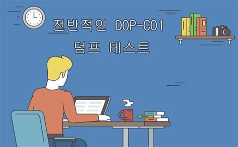 DOP-C01-KR Buch