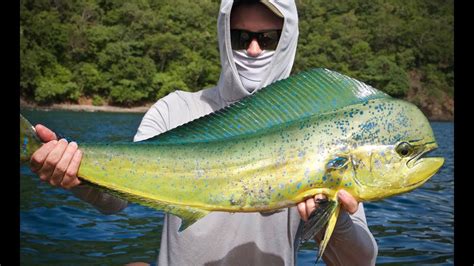 DORADO FISHING COSTA RICA! - YouTube