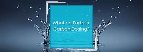Dosing carbon on a skimmerless system... | TCMAS Forums - coolestguyplanet.net
