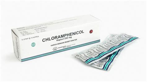 dosis chloramphenicol untuk tipes - elchoricharrua.com