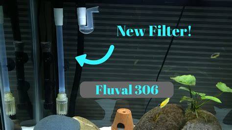 Double Canister Filter Intake/outflow Positioning - raincitystudios.com