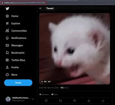 DOWNLOAD GIF TWITTER gym bugil & foto viral terbaru live sore hari minim lag saat live dibahas banyak Penulis komik dewasa image 1