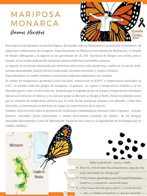 download mariposa pdf - elchoricharrua.com