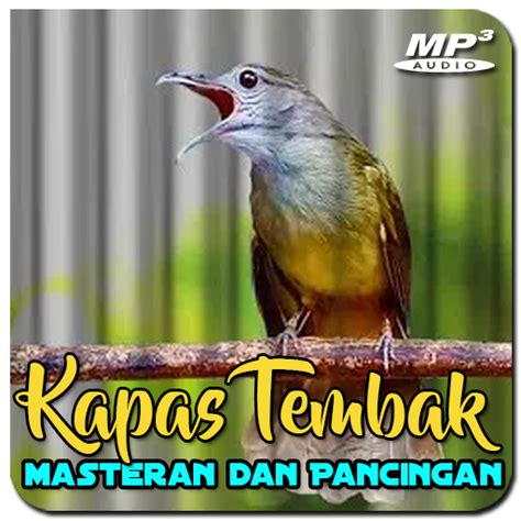 download masteran kapas tembak - elchoricharrua.com