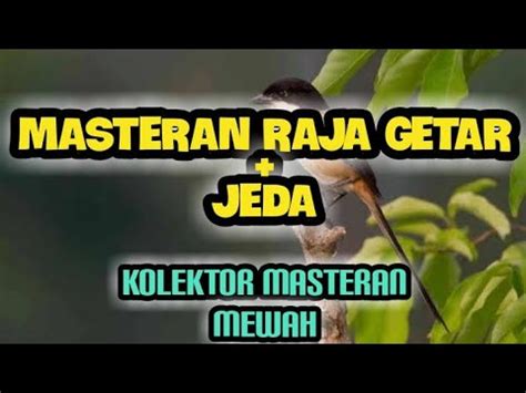 download masteran raja getar - elchoricharrua.com