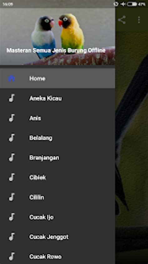 download mp3 masteran burung - elchoricharrua.com