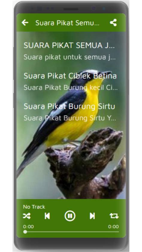 download mp3 pikat burung kecil - elchoricharrua.com