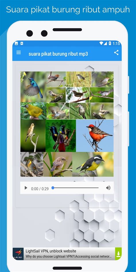 download mp3 pikat burung kecil ribut - elchoricharrua.com