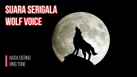 download nada dering serigala - elchoricharrua.com