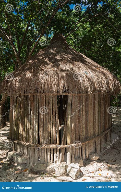 download palapa - elchoricharrua.com