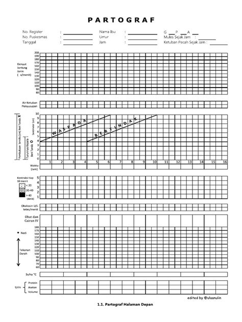 download partograf - elchoricharrua.com