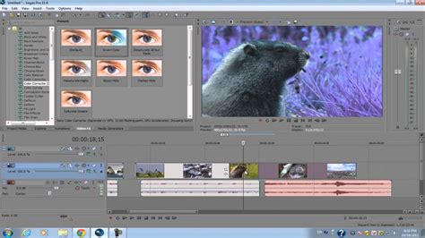 download patch vegas pro 11 - elchoricharrua.com