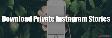 download private instagram story videos - elchoricharrua.com
