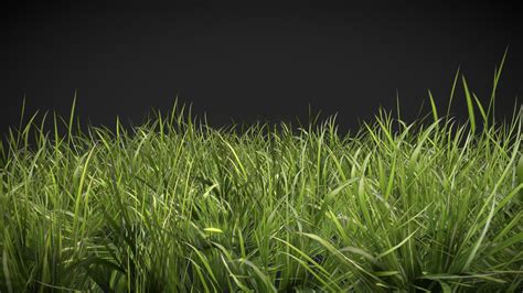 Download Realistic Grass - NicoRTX - muktibox.com