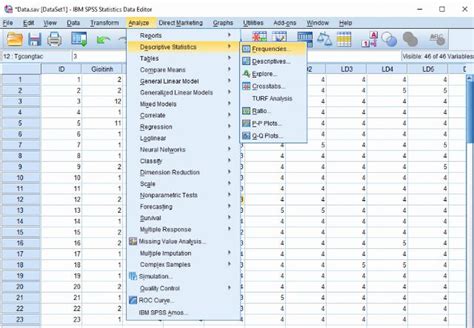 download spss 18 - elchoricharrua.com