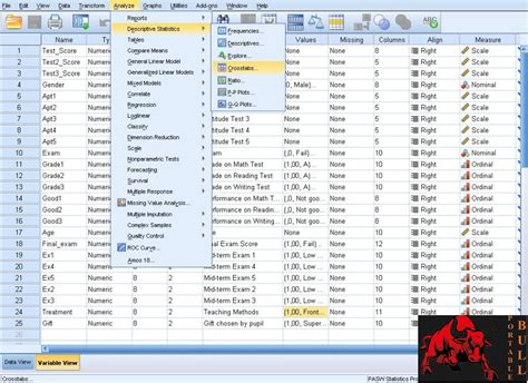 download spss crack - elchoricharrua.com