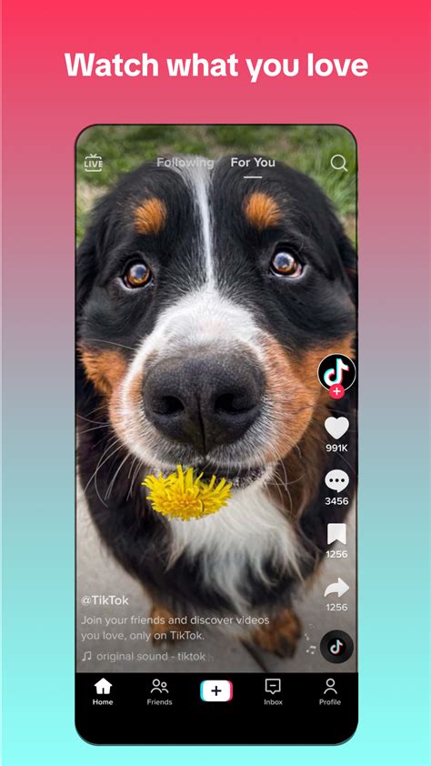 download status tik tok - elchoricharrua.com