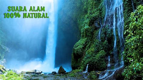 download suara alam - elchoricharrua.com