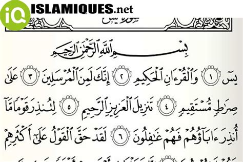 download surat yasin mp3 - elchoricharrua.com