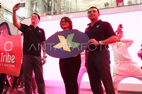 download tribe xl - elchoricharrua.com