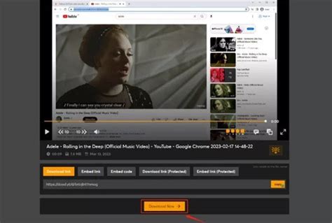download video doodstream - elchoricharrua.com