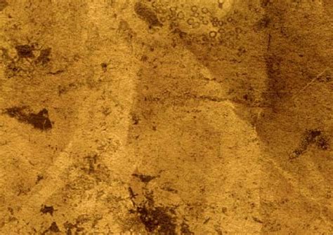 download video efek vintage - elchoricharrua.com