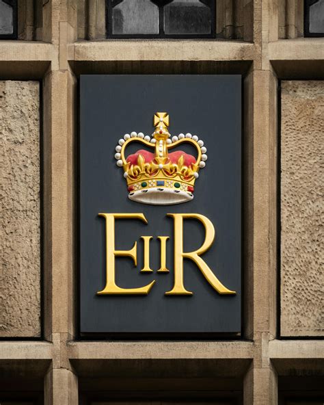 download video free royalty - elchoricharrua.com