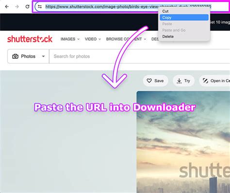 download video from shutterstock - elchoricharrua.com