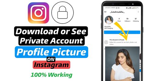 download video instagram private - elchoricharrua.com