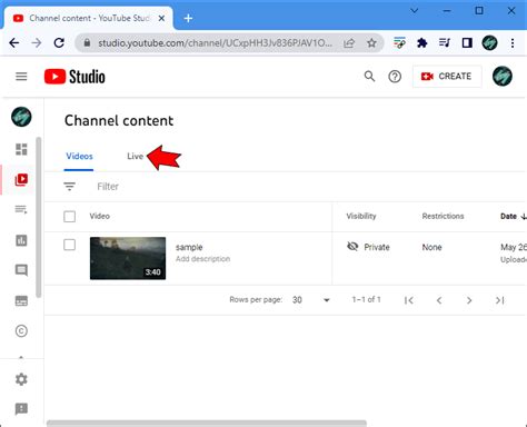 download video live youtube - elchoricharrua.com
