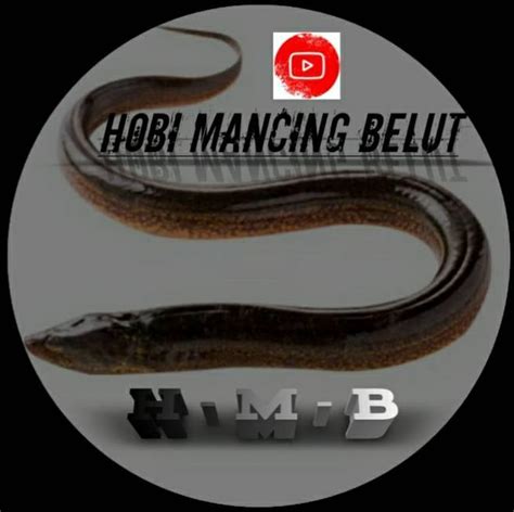 download video mancing belut - elchoricharrua.com