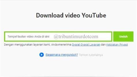 download video pakai link - elchoricharrua.com