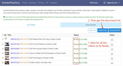 download video playlist youtube idm - elchoricharrua.com