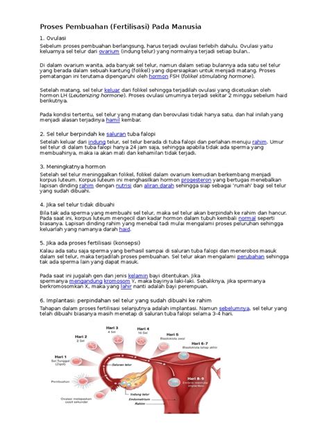 download video proses pembuahan - elchoricharrua.com