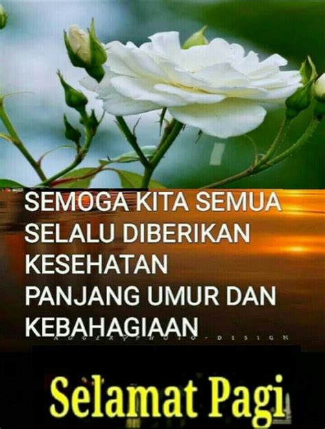 download video selamat pagi - elchoricharrua.com