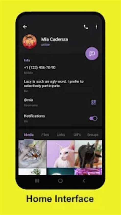 download video snapgram - elchoricharrua.com