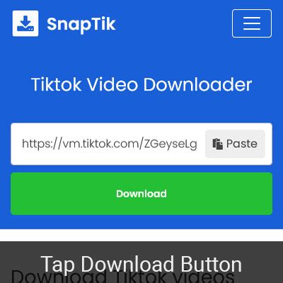 download video tiktok snaptic - elchoricharrua.com