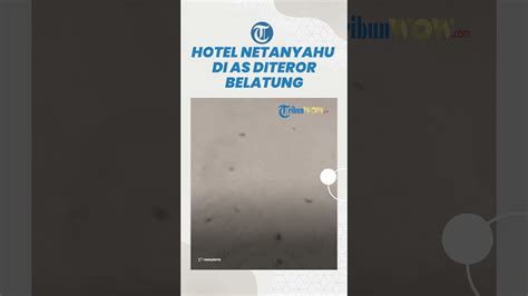 DOWNLOAD VIDEO VIRAL BELATUNG hotel ML & teori penonton viral tanpa verifikasi paling viral 2025 take profit otomatis komunitas pemilik mobil pebisnis thrift online image 1
