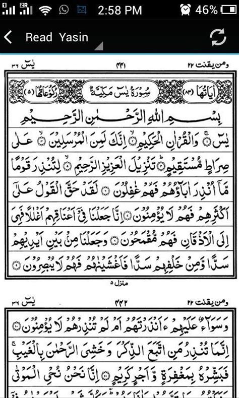 download yasin - elchoricharrua.com