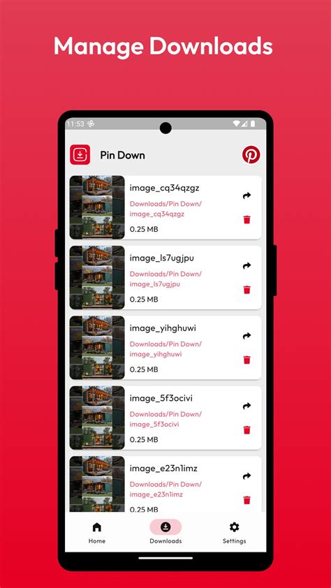 downloader pin - elchoricharrua.com